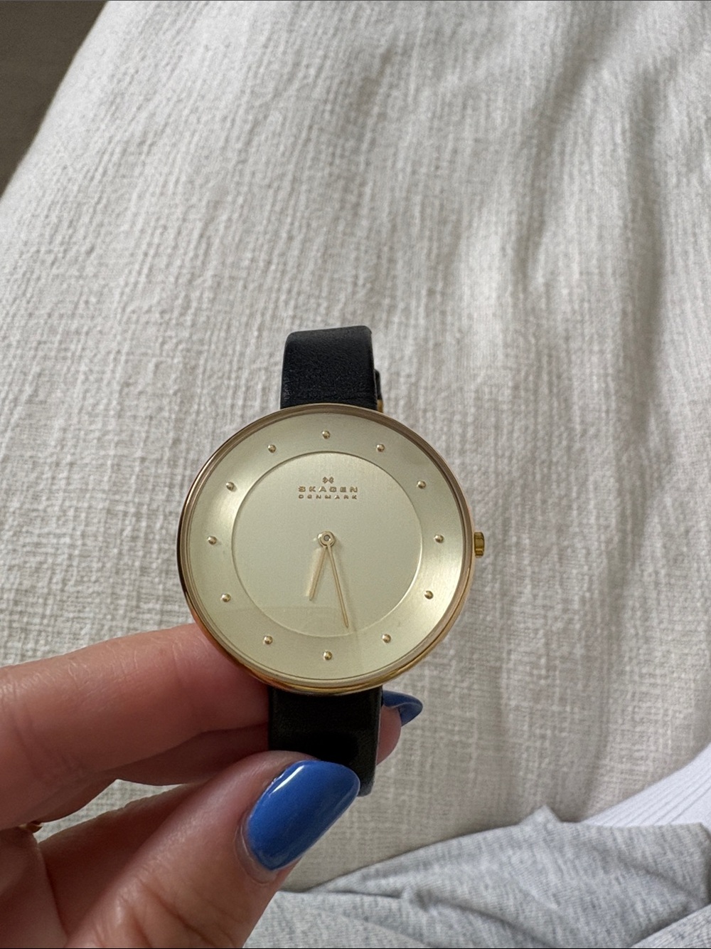 Skagen Gold Dial Watch with Black Leather Strap
